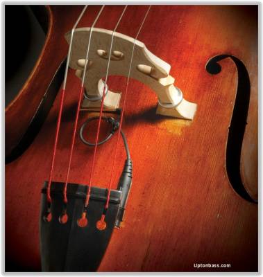 David Gage Strings - Realist Transducer for String Bass